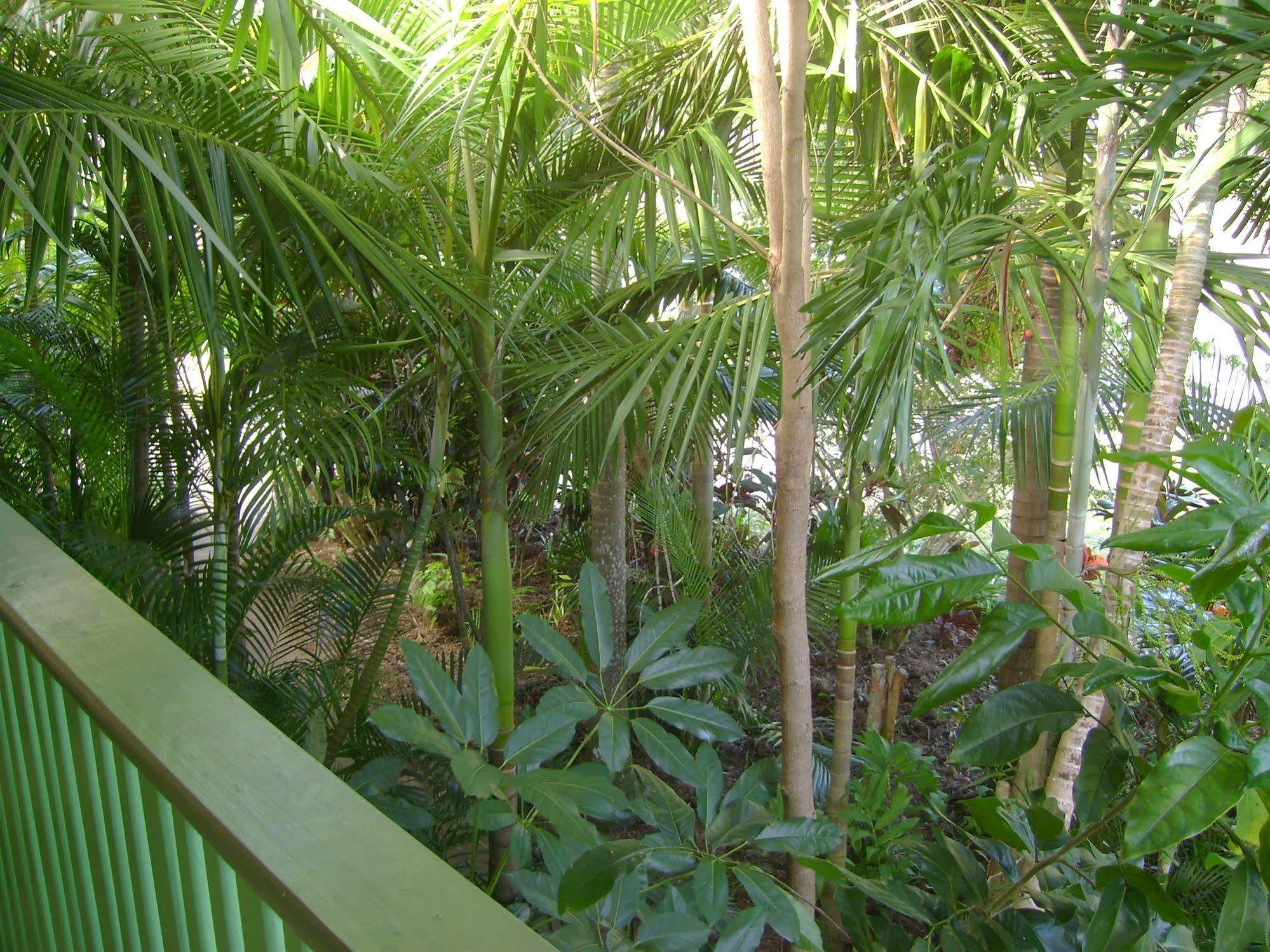 Tropical Nites Holiday Townhouses Port Douglas Exterior photo